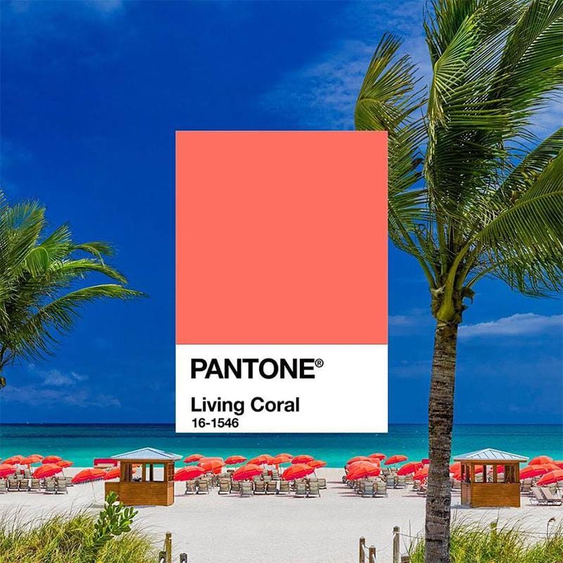 PANTONE 2019年度精裝版馬克杯-活珊瑚橘